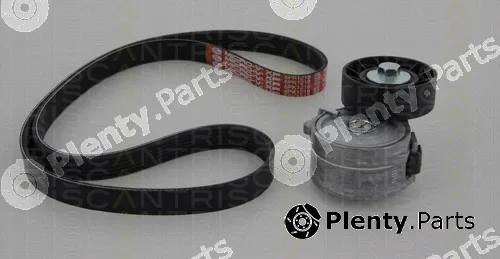 Triscan 864210013 — V-Ribbed Belt Set
