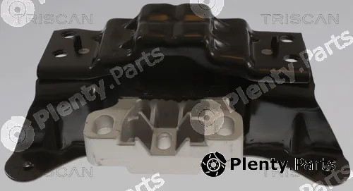 Triscan 850529195 — Mounting, engine
