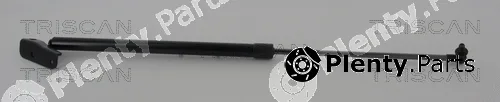 Triscan 871068220 — Gas Spring, boot/cargo area