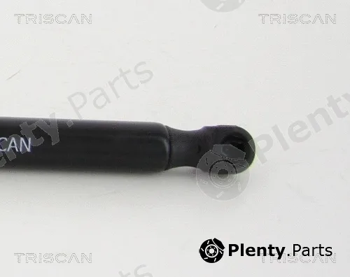 Triscan 871038239 — Gas Spring, boot/cargo area
