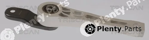 Triscan 850529182 — Mounting, engine