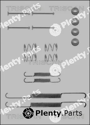Triscan 8105242191 — Accessory Kit, brake shoes