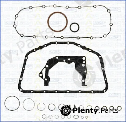 Triscan 595-50103 — Gasket Kit, crankcase