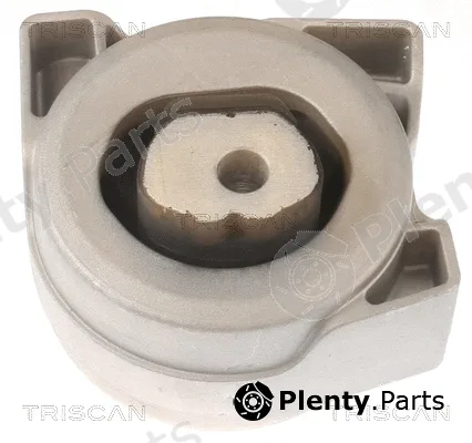 Triscan 850523103 — Mounting, engine