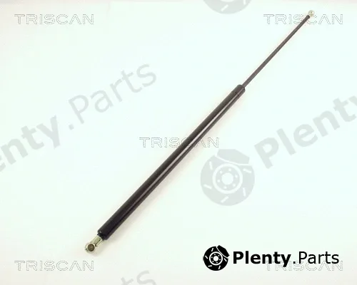 Triscan 871040207 — Gas Spring, boot/cargo area