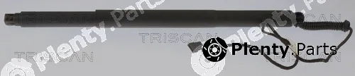 Triscan 871011311 — Gas Spring, boot/cargo area