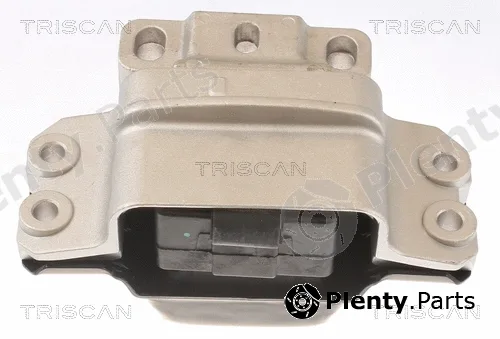 Triscan 850529148 — Mounting, engine
