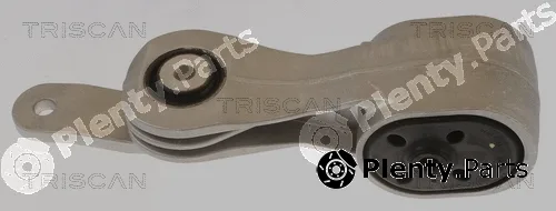 Triscan 850510135 — Mounting, engine