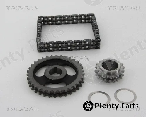 Triscan 865029006 — Timing Chain Kit