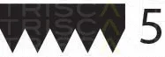 Triscan 8640501153 — V-Ribbed Belt