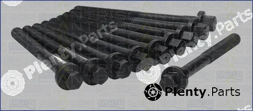 Triscan 98-8000 — Cylinder Head Bolt Set
