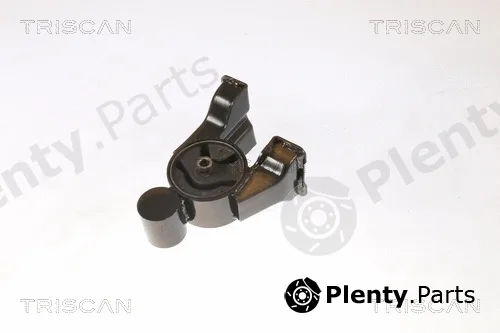 Triscan 850543102 — Mounting, engine