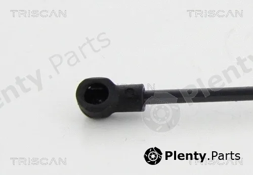 Triscan 8710292023 — Gas Spring, boot/cargo area