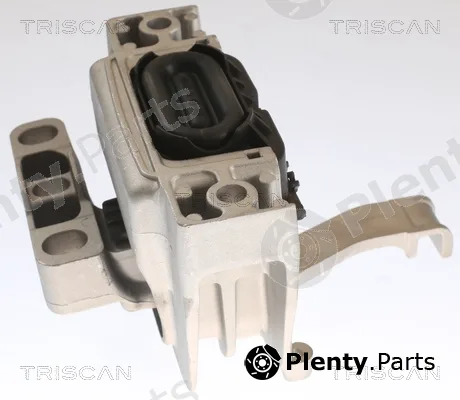 Triscan 850529129 — Mounting, engine