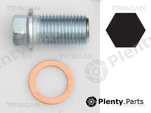 Triscan 95001012 — Screw Plug, oil sump