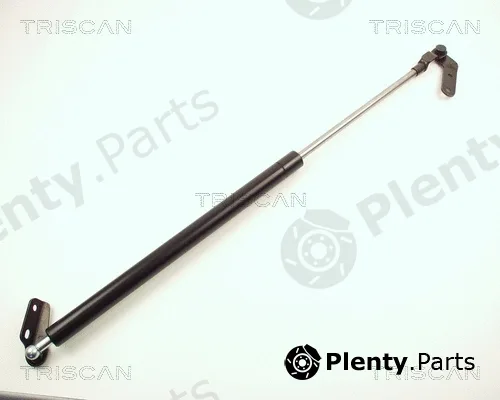 Triscan 871013236 — Gas Spring, boot/cargo area