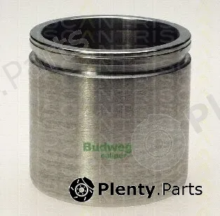 Triscan 8170235716 — Piston, brake caliper