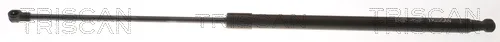 Triscan 871016306 — Gas Spring, boot/cargo area