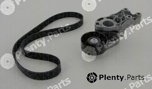 Triscan 864229018 — V-Ribbed Belt Set
