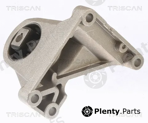 Triscan 850529200 — Mounting, manual transmission