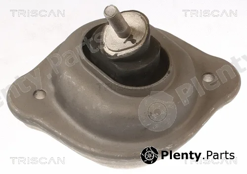 Triscan 850511119 — Mounting, engine
