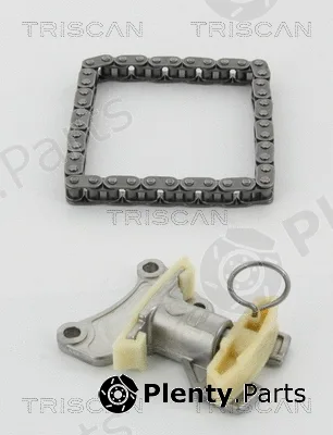 Triscan 865029007 — Timing Chain Kit