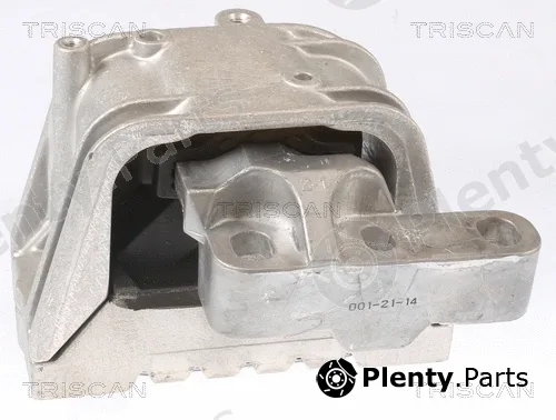 Triscan 850529122 — Mounting, engine