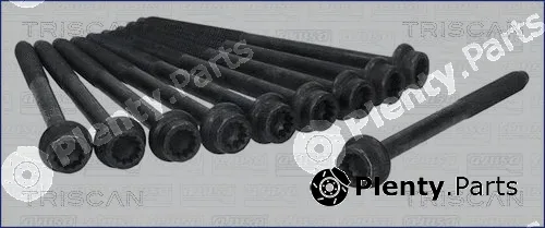 Triscan 98-8548 — Cylinder Head Bolt Set