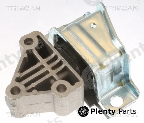 Triscan 850515110 — Mounting, engine