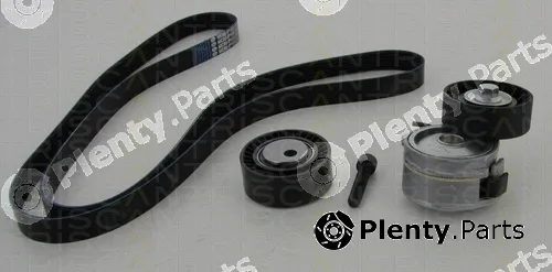 Triscan 864210016 — V-Ribbed Belt Set