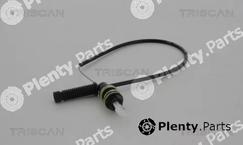 Triscan 814038319 — Accelerator Cable