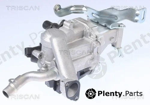 Triscan 881310106 — EGR Valve