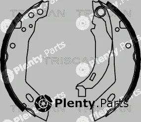 Triscan 810010389 — Brake Shoe Set