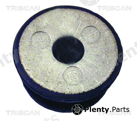 Triscan 850029851 — Bushing, axle beam