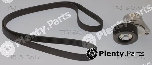 Triscan 864210026 — V-Ribbed Belt Set