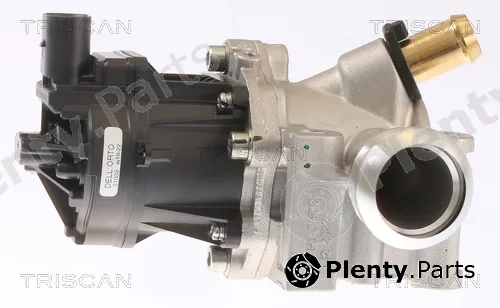 Triscan 881315076 — EGR Valve