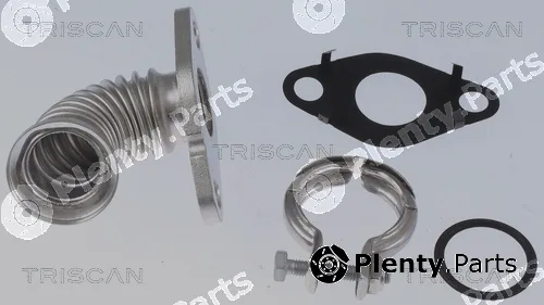 Triscan 881116000 — Pipe, EGR valve