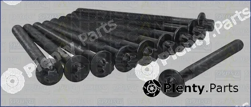 Triscan 98-6013 — Cylinder Head Bolt Set