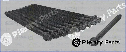 Triscan 98-5534 — Cylinder Head Bolt Set
