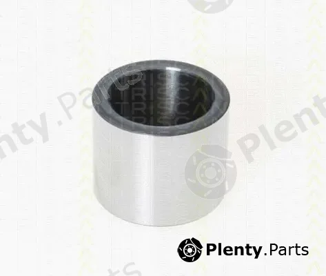 Triscan 8170231582 — Piston, brake caliper