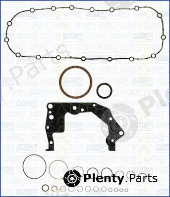 Triscan 595-50101 — Gasket Kit, crankcase