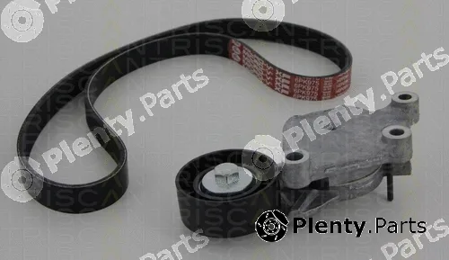 Triscan 864228012 — V-Ribbed Belt Set