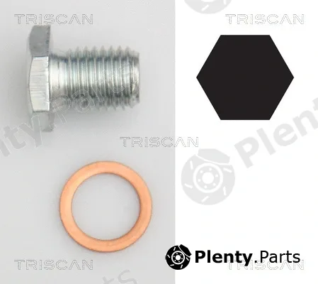 Triscan 95001103 — Screw Plug, oil sump