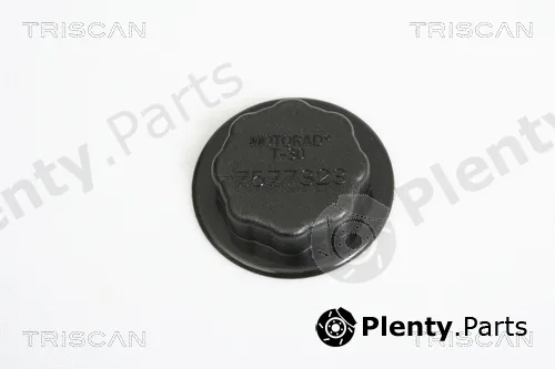 Triscan 861013 — Cap, coolant tank