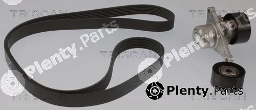 Triscan 864210046 — V-Ribbed Belt Set