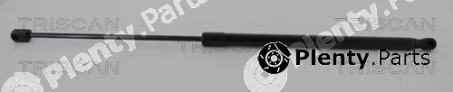 Triscan 871016260 — Gas Spring, boot/cargo area