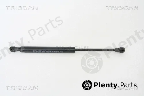 Triscan 871065209 — Gas Spring, boot/cargo area