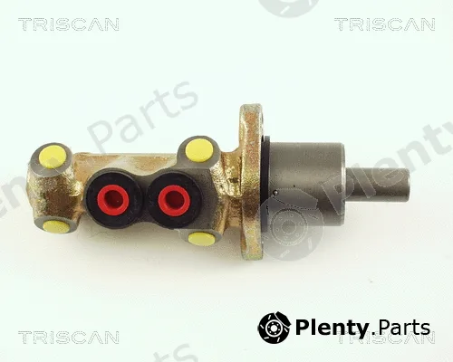 Triscan 813029103 — Brake Master Cylinder