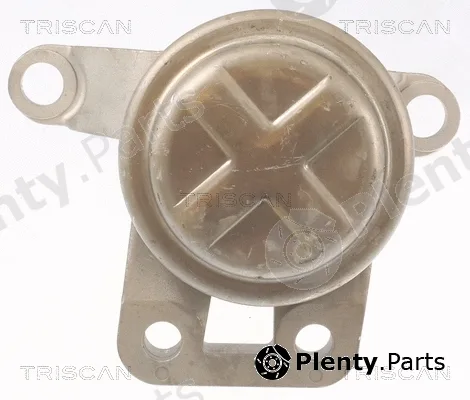 Triscan 850510108 — Mounting, engine