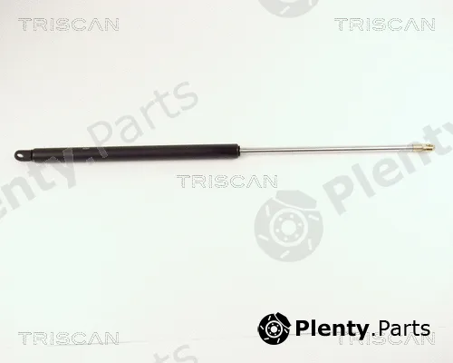 Triscan 87102904 — Gas Spring, boot/cargo area